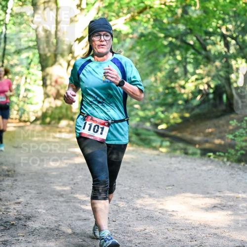 28.09.2025 - 33. Volkslauf durch das schöne Alstertal Dr. Thomas Lammeyer http://msf.ph/oto/8952705 28.09.2025 10:22:29 Laufen 2014, 1829, 1101 meine-sportfotos.de