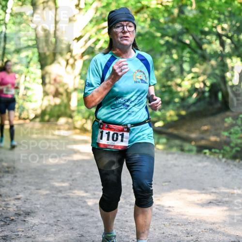 28.09.2025 - 33. Volkslauf durch das schöne Alstertal Dr. Thomas Lammeyer http://msf.ph/oto/8952707 28.09.2025 10:22:29 Laufen 2014, 1929, 1101 meine-sportfotos.de