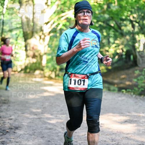 28.09.2025 - 33. Volkslauf durch das schöne Alstertal Dr. Thomas Lammeyer http://msf.ph/oto/8952708 28.09.2025 10:22:29 Laufen 1101, 2014 meine-sportfotos.de