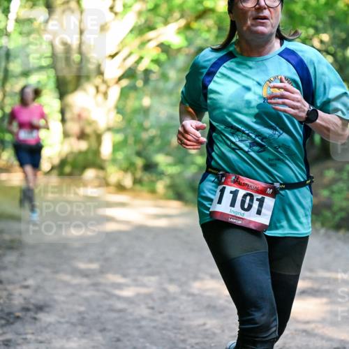 28.09.2025 - 33. Volkslauf durch das schöne Alstertal Dr. Thomas Lammeyer http://msf.ph/oto/8952709 28.09.2025 10:22:30 Laufen 31, 1929, 1101 meine-sportfotos.de