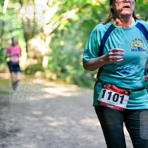 28.09.2025 - 33. Volkslauf durch das schöne Alstertal Dr. Thomas Lammeyer http://msf.ph/oto/8952710 28.09.2025 10:22:30 Laufen 1101, 31, 2014, 1, 1929 meine-sportfotos.de