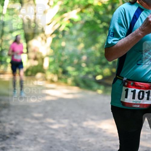 28.09.2025 - 33. Volkslauf durch das schöne Alstertal Dr. Thomas Lammeyer http://msf.ph/oto/8952711 28.09.2025 10:22:30 Laufen 1101, 2014, 29 meine-sportfotos.de