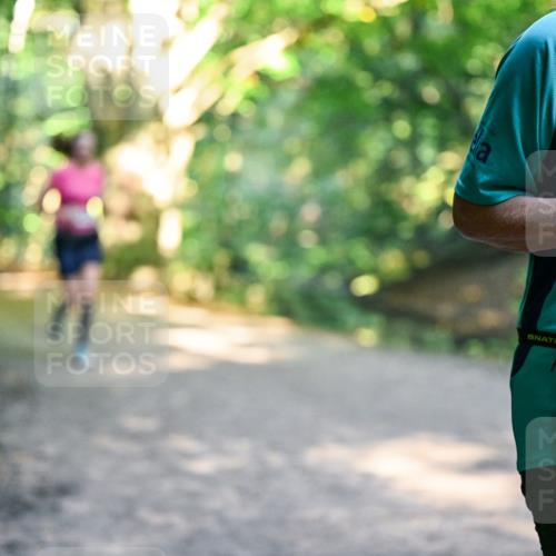 28.09.2025 - 33. Volkslauf durch das schöne Alstertal Dr. Thomas Lammeyer http://msf.ph/oto/8952712 28.09.2025 10:22:30 Laufen 1101 meine-sportfotos.de