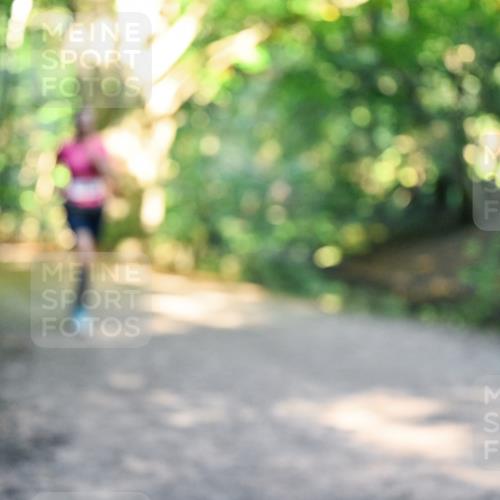 28.09.2025 - 33. Volkslauf durch das schöne Alstertal Dr. Thomas Lammeyer http://msf.ph/oto/8952713 28.09.2025 10:22:30 Laufen  meine-sportfotos.de