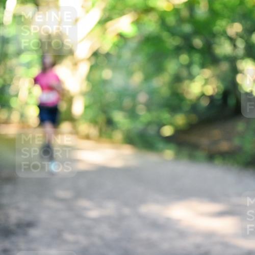 28.09.2025 - 33. Volkslauf durch das schöne Alstertal Dr. Thomas Lammeyer http://msf.ph/oto/8952714 28.09.2025 10:22:30 Laufen  meine-sportfotos.de