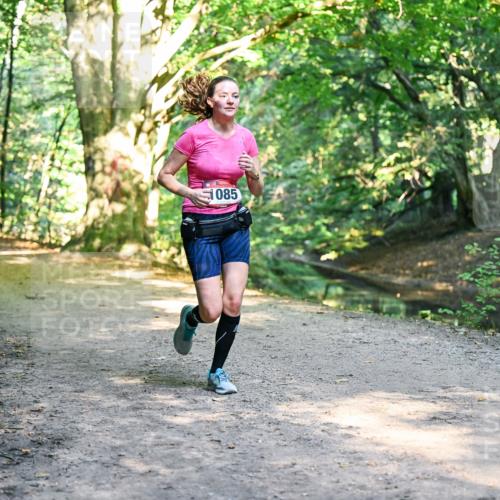 28.09.2025 - 33. Volkslauf durch das schöne Alstertal Dr. Thomas Lammeyer http://msf.ph/oto/8952715 28.09.2025 10:22:32 Laufen 1085 meine-sportfotos.de