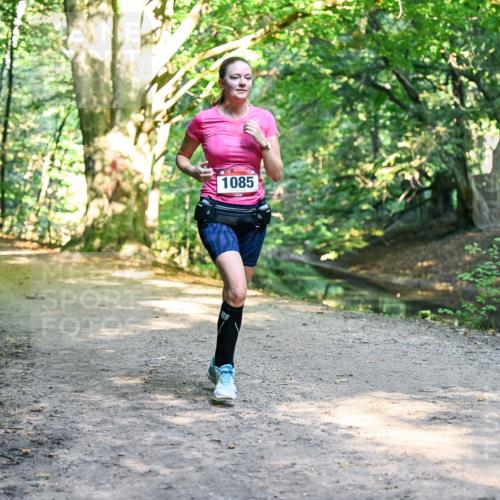 28.09.2025 - 33. Volkslauf durch das schöne Alstertal Dr. Thomas Lammeyer http://msf.ph/oto/8952716 28.09.2025 10:22:32 Laufen 1085 meine-sportfotos.de