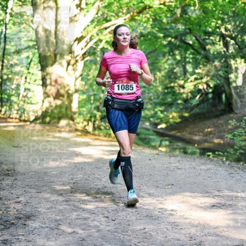 28.09.2025 - 33. Volkslauf durch das schöne Alstertal Dr. Thomas Lammeyer http://msf.ph/oto/8952717 28.09.2025 10:22:32 Laufen 1085 meine-sportfotos.de