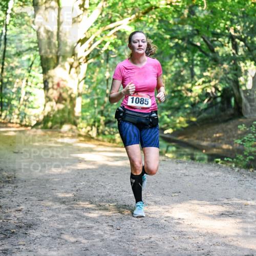 28.09.2025 - 33. Volkslauf durch das schöne Alstertal Dr. Thomas Lammeyer http://msf.ph/oto/8952718 28.09.2025 10:22:32 Laufen 1085 meine-sportfotos.de