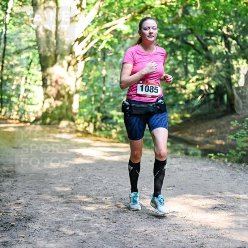 28.09.2025 - 33. Volkslauf durch das schöne Alstertal Dr. Thomas Lammeyer http://msf.ph/oto/8952719 28.09.2025 10:22:32 Laufen 1085 meine-sportfotos.de