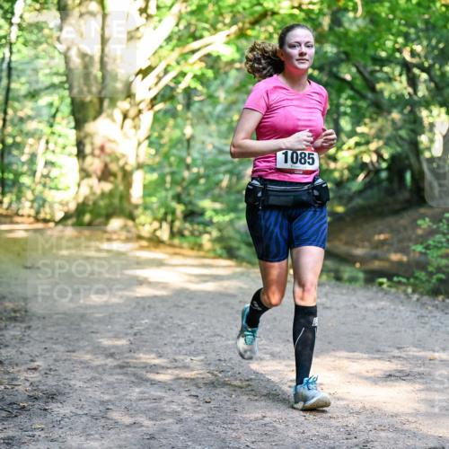 28.09.2025 - 33. Volkslauf durch das schöne Alstertal Dr. Thomas Lammeyer http://msf.ph/oto/8952720 28.09.2025 10:22:32 Laufen 1085 meine-sportfotos.de