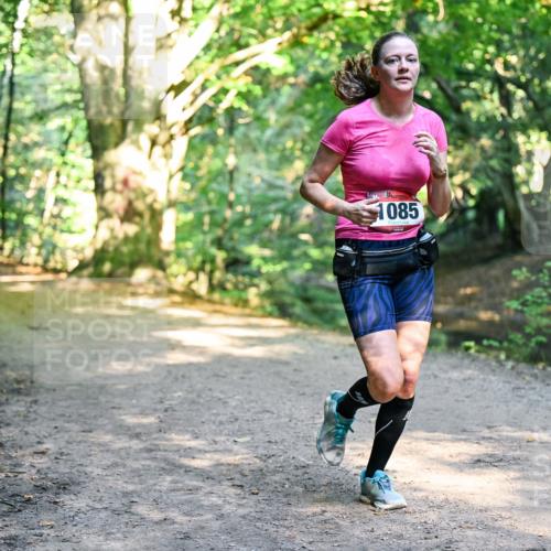 28.09.2025 - 33. Volkslauf durch das schöne Alstertal Dr. Thomas Lammeyer http://msf.ph/oto/8952721 28.09.2025 10:22:33 Laufen 1085 meine-sportfotos.de