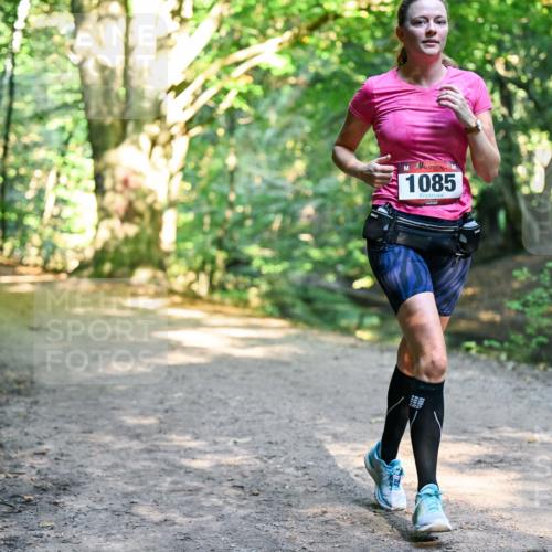 28.09.2025 - 33. Volkslauf durch das schöne Alstertal Dr. Thomas Lammeyer http://msf.ph/oto/8952722 28.09.2025 10:22:33 Laufen 1085 meine-sportfotos.de