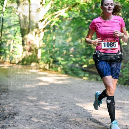 28.09.2025 - 33. Volkslauf durch das schöne Alstertal Dr. Thomas Lammeyer http://msf.ph/oto/8952723 28.09.2025 10:22:33 Laufen 1085 meine-sportfotos.de