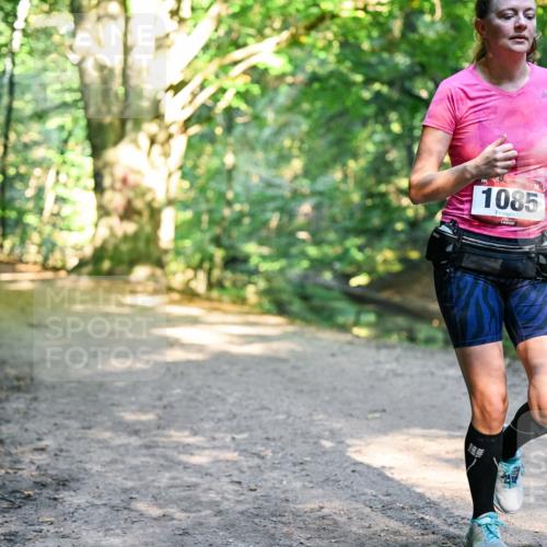 28.09.2025 - 33. Volkslauf durch das schöne Alstertal Dr. Thomas Lammeyer http://msf.ph/oto/8952724 28.09.2025 10:22:33 Laufen 1085 meine-sportfotos.de