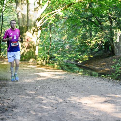 28.09.2025 - 33. Volkslauf durch das schöne Alstertal Dr. Thomas Lammeyer http://msf.ph/oto/8952726 28.09.2025 10:22:42 Laufen 2325, 1749, 1687 meine-sportfotos.de