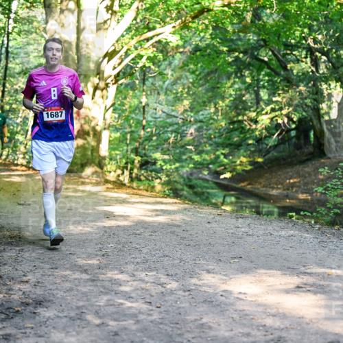 28.09.2025 - 33. Volkslauf durch das schöne Alstertal Dr. Thomas Lammeyer http://msf.ph/oto/8952730 28.09.2025 10:22:43 Laufen 2925, 1687 meine-sportfotos.de