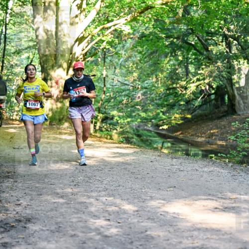 28.09.2025 - 33. Volkslauf durch das schöne Alstertal Dr. Thomas Lammeyer http://msf.ph/oto/8952765 28.09.2025 10:23:03 Laufen 1067, 112 meine-sportfotos.de