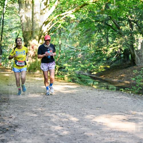 28.09.2025 - 33. Volkslauf durch das schöne Alstertal Dr. Thomas Lammeyer http://msf.ph/oto/8952766 28.09.2025 10:23:03 Laufen 1067 meine-sportfotos.de