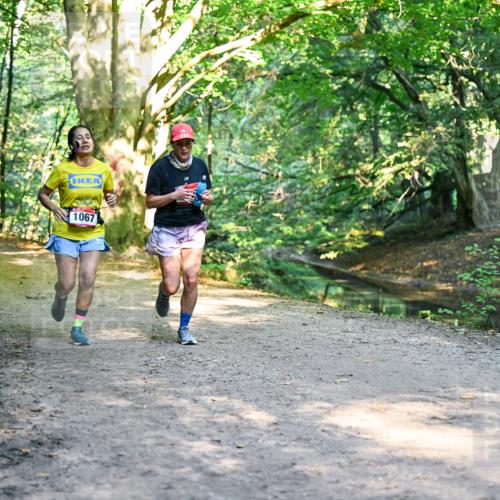 28.09.2025 - 33. Volkslauf durch das schöne Alstertal Dr. Thomas Lammeyer http://msf.ph/oto/8952768 28.09.2025 10:23:03 Laufen 1067 meine-sportfotos.de