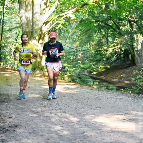 28.09.2025 - 33. Volkslauf durch das schöne Alstertal Dr. Thomas Lammeyer http://msf.ph/oto/8952769 28.09.2025 10:23:03 Laufen 1067, 11 meine-sportfotos.de
