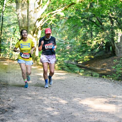 28.09.2025 - 33. Volkslauf durch das schöne Alstertal Dr. Thomas Lammeyer http://msf.ph/oto/8952771 28.09.2025 10:23:03 Laufen 1067, 1122 meine-sportfotos.de