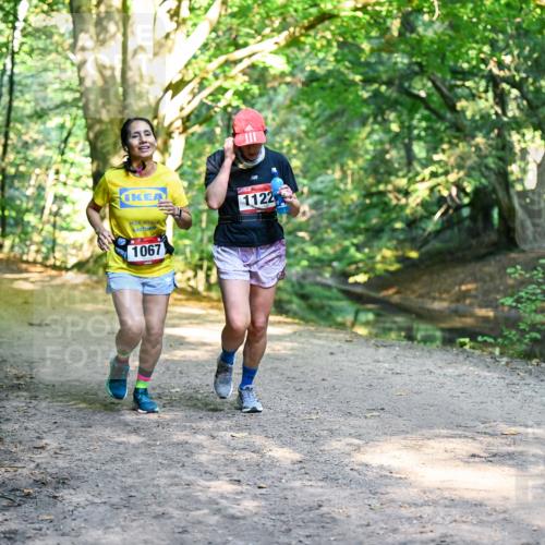 28.09.2025 - 33. Volkslauf durch das schöne Alstertal Dr. Thomas Lammeyer http://msf.ph/oto/8952774 28.09.2025 10:23:04 Laufen 1067, 1122 meine-sportfotos.de