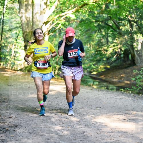 28.09.2025 - 33. Volkslauf durch das schöne Alstertal Dr. Thomas Lammeyer http://msf.ph/oto/8952776 28.09.2025 10:23:04 Laufen 1067, 1122 meine-sportfotos.de