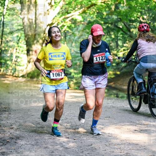 28.09.2025 - 33. Volkslauf durch das schöne Alstertal Dr. Thomas Lammeyer http://msf.ph/oto/8952779 28.09.2025 10:23:05 Laufen 1122, 1067 meine-sportfotos.de