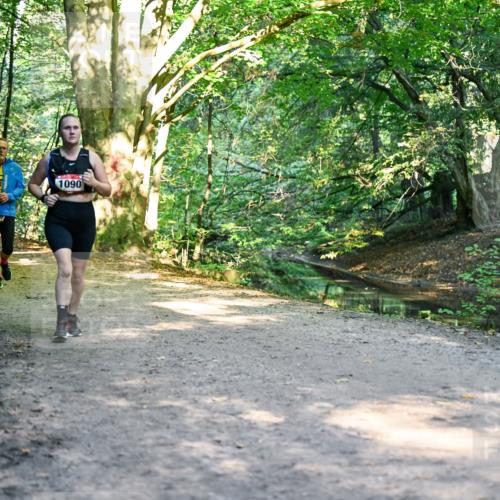 28.09.2025 - 33. Volkslauf durch das schöne Alstertal Dr. Thomas Lammeyer http://msf.ph/oto/8952785 28.09.2025 10:23:13 Laufen 1108, 1155, 7751, 1090 meine-sportfotos.de
