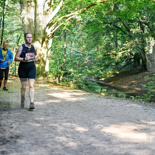 28.09.2025 - 33. Volkslauf durch das schöne Alstertal Dr. Thomas Lammeyer http://msf.ph/oto/8952788 28.09.2025 10:23:13 Laufen 52, 1155, 1751, 1990 meine-sportfotos.de