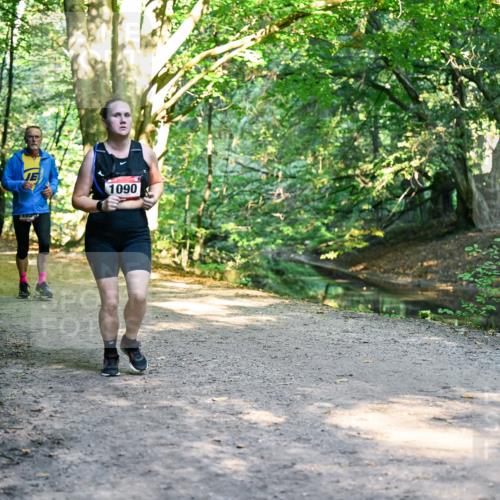 28.09.2025 - 33. Volkslauf durch das schöne Alstertal Dr. Thomas Lammeyer http://msf.ph/oto/8952792 28.09.2025 10:23:14 Laufen 1155, 1751, 1090 meine-sportfotos.de