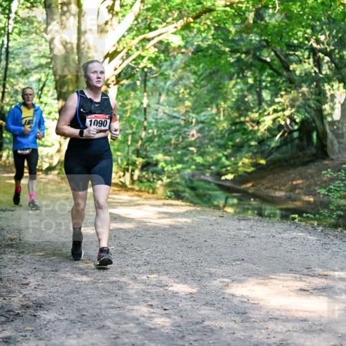 28.09.2025 - 33. Volkslauf durch das schöne Alstertal Dr. Thomas Lammeyer http://msf.ph/oto/8952793 28.09.2025 10:23:14 Laufen 1090 meine-sportfotos.de