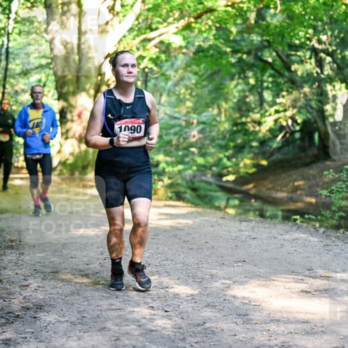 28.09.2025 - 33. Volkslauf durch das schöne Alstertal Dr. Thomas Lammeyer http://msf.ph/oto/8952797 28.09.2025 10:23:15 Laufen 1090 meine-sportfotos.de