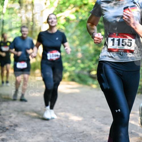 28.09.2025 - 33. Volkslauf durch das schöne Alstertal Dr. Thomas Lammeyer http://msf.ph/oto/8952832 28.09.2025 10:23:21 Laufen 1155 meine-sportfotos.de