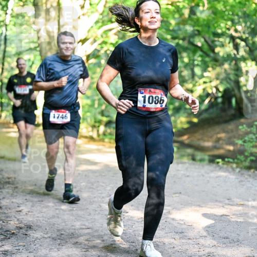 28.09.2025 - 33. Volkslauf durch das schöne Alstertal Dr. Thomas Lammeyer http://msf.ph/oto/8952835 28.09.2025 10:23:22 Laufen 1746, 1086 meine-sportfotos.de