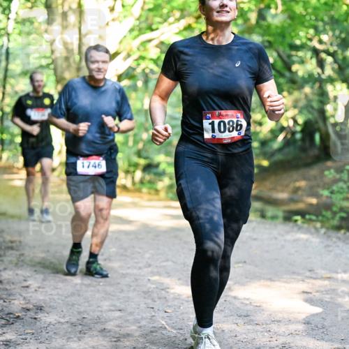 28.09.2025 - 33. Volkslauf durch das schöne Alstertal Dr. Thomas Lammeyer http://msf.ph/oto/8952836 28.09.2025 10:23:22 Laufen 1746, 1086 meine-sportfotos.de