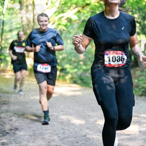 28.09.2025 - 33. Volkslauf durch das schöne Alstertal Dr. Thomas Lammeyer http://msf.ph/oto/8952838 28.09.2025 10:23:22 Laufen 1746, 1086 meine-sportfotos.de