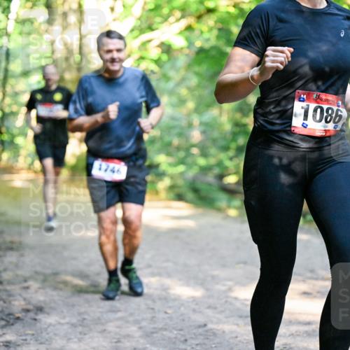 28.09.2025 - 33. Volkslauf durch das schöne Alstertal Dr. Thomas Lammeyer http://msf.ph/oto/8952839 28.09.2025 10:23:22 Laufen 1746, 1086 meine-sportfotos.de