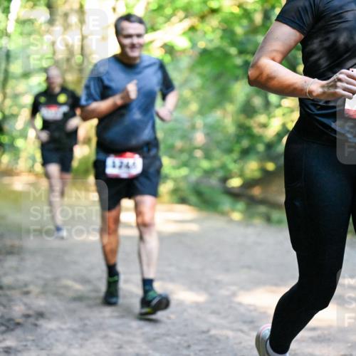 28.09.2025 - 33. Volkslauf durch das schöne Alstertal Dr. Thomas Lammeyer http://msf.ph/oto/8952840 28.09.2025 10:23:22 Laufen 1246, 086 meine-sportfotos.de