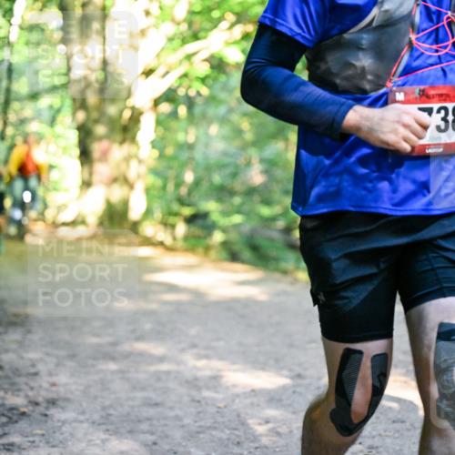 28.09.2025 - 33. Volkslauf durch das schöne Alstertal Dr. Thomas Lammeyer http://msf.ph/oto/8952969 28.09.2025 10:24:19 Laufen 38 meine-sportfotos.de
