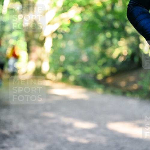 28.09.2025 - 33. Volkslauf durch das schöne Alstertal Dr. Thomas Lammeyer http://msf.ph/oto/8952972 28.09.2025 10:24:20 Laufen  meine-sportfotos.de