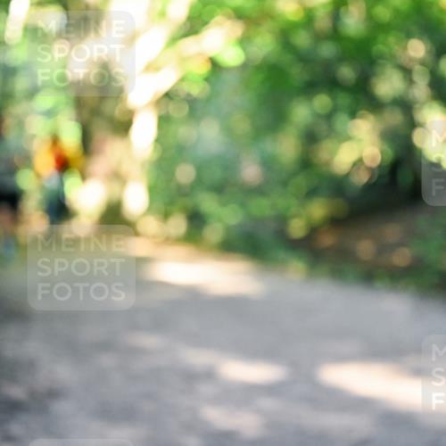 28.09.2025 - 33. Volkslauf durch das schöne Alstertal Dr. Thomas Lammeyer http://msf.ph/oto/8952974 28.09.2025 10:24:20 Laufen  meine-sportfotos.de