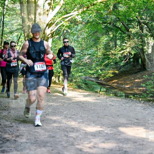 28.09.2025 - 33. Volkslauf durch das schöne Alstertal Dr. Thomas Lammeyer http://msf.ph/oto/8953014 28.09.2025 10:25:15 Laufen 1104, 1107, 1754 meine-sportfotos.de
