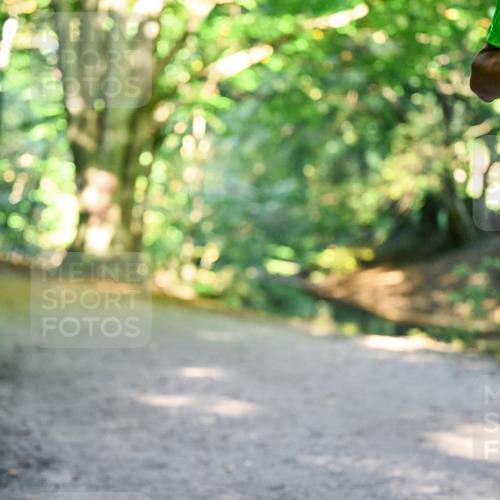 28.09.2025 - 33. Volkslauf durch das schöne Alstertal Dr. Thomas Lammeyer http://msf.ph/oto/8953086 28.09.2025 10:33:08 Laufen  meine-sportfotos.de