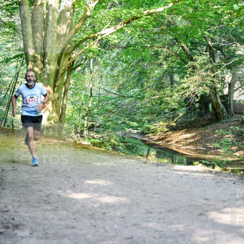 28.09.2025 - 33. Volkslauf durch das schöne Alstertal Dr. Thomas Lammeyer http://msf.ph/oto/8953087 28.09.2025 10:33:34 Laufen  meine-sportfotos.de