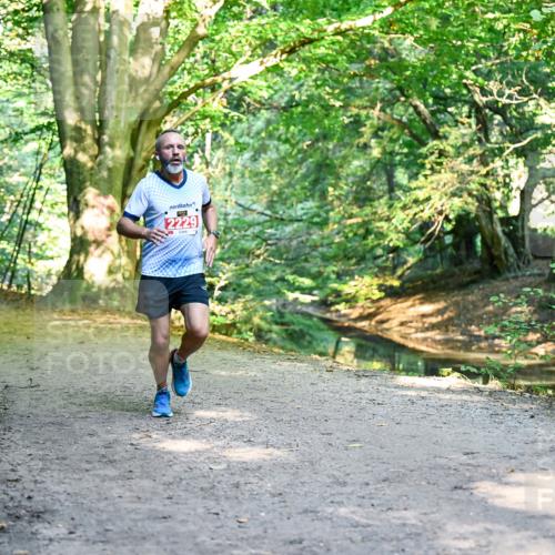 28.09.2025 - 33. Volkslauf durch das schöne Alstertal Dr. Thomas Lammeyer http://msf.ph/oto/8953095 28.09.2025 10:33:35 Laufen 2229 meine-sportfotos.de