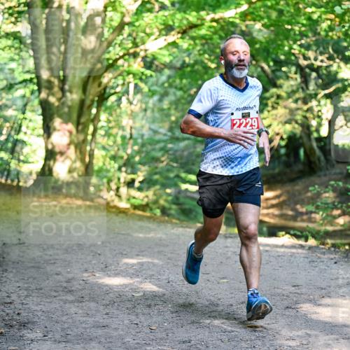 28.09.2025 - 33. Volkslauf durch das schöne Alstertal Dr. Thomas Lammeyer http://msf.ph/oto/8953103 28.09.2025 10:33:36 Laufen 2229 meine-sportfotos.de