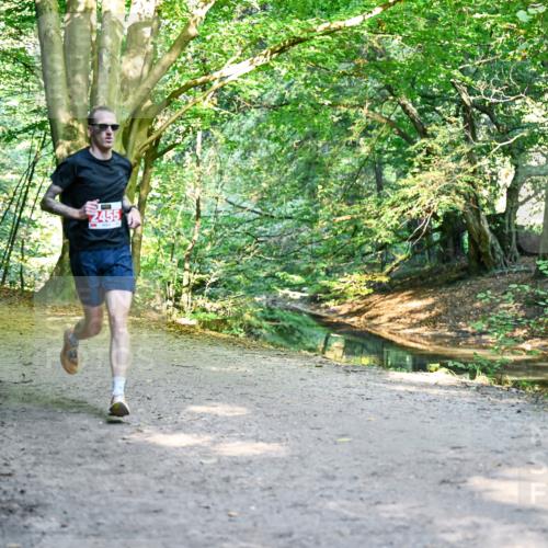 28.09.2025 - 33. Volkslauf durch das schöne Alstertal Dr. Thomas Lammeyer http://msf.ph/oto/8953111 28.09.2025 10:33:50 Laufen 2455 meine-sportfotos.de