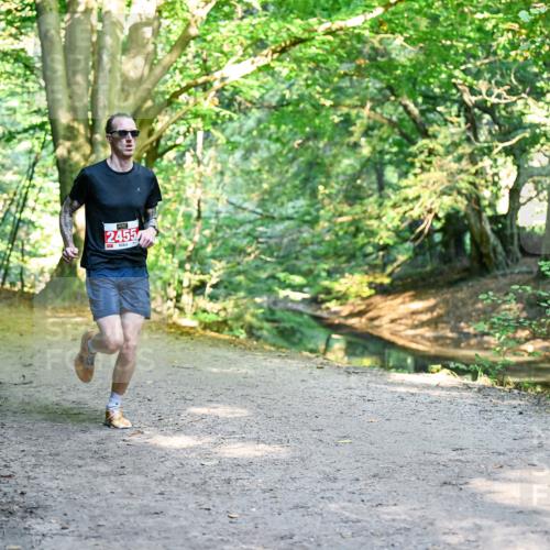 28.09.2025 - 33. Volkslauf durch das schöne Alstertal Dr. Thomas Lammeyer http://msf.ph/oto/8953112 28.09.2025 10:33:50 Laufen 2455 meine-sportfotos.de